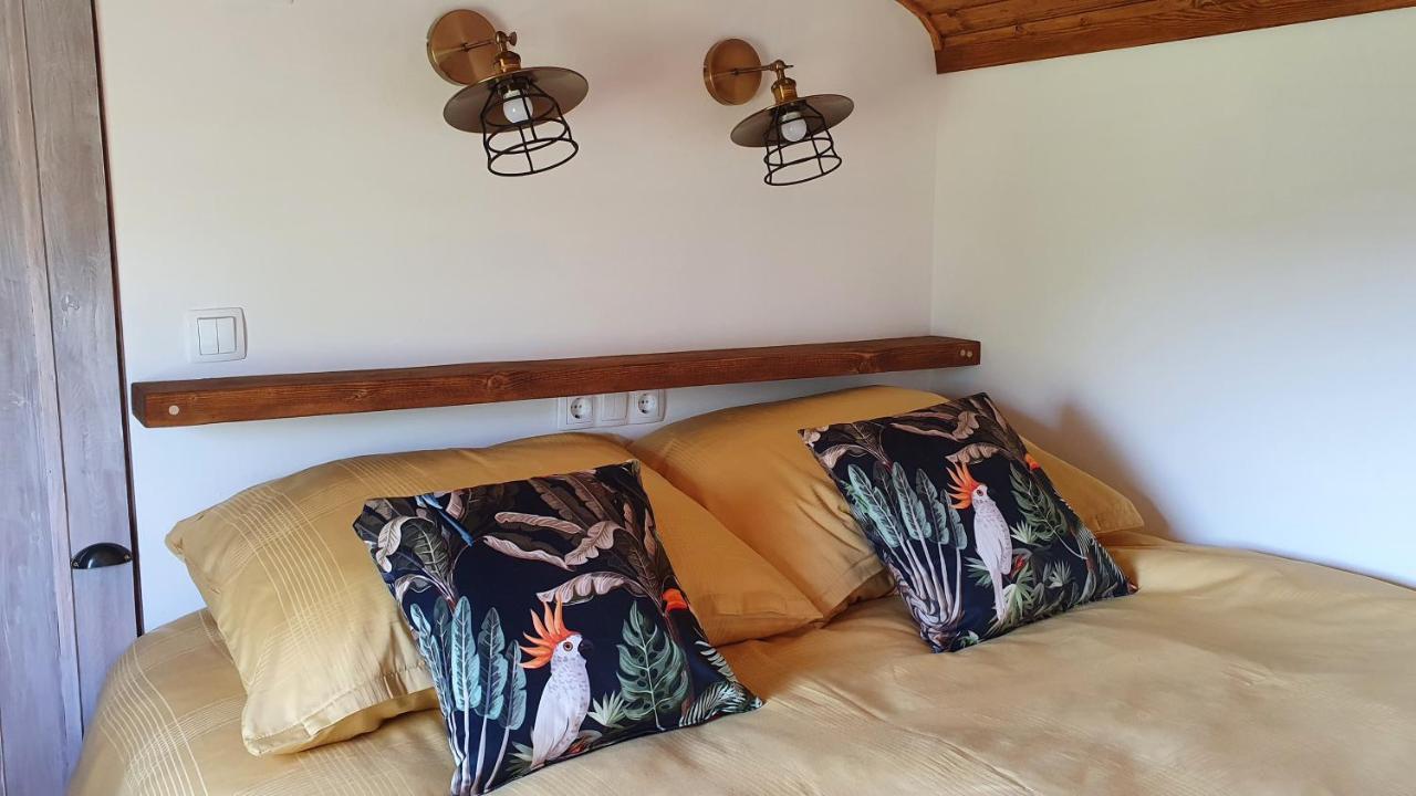Tisza White House Bed & Breakfast Tiszaszolos Rom bilde