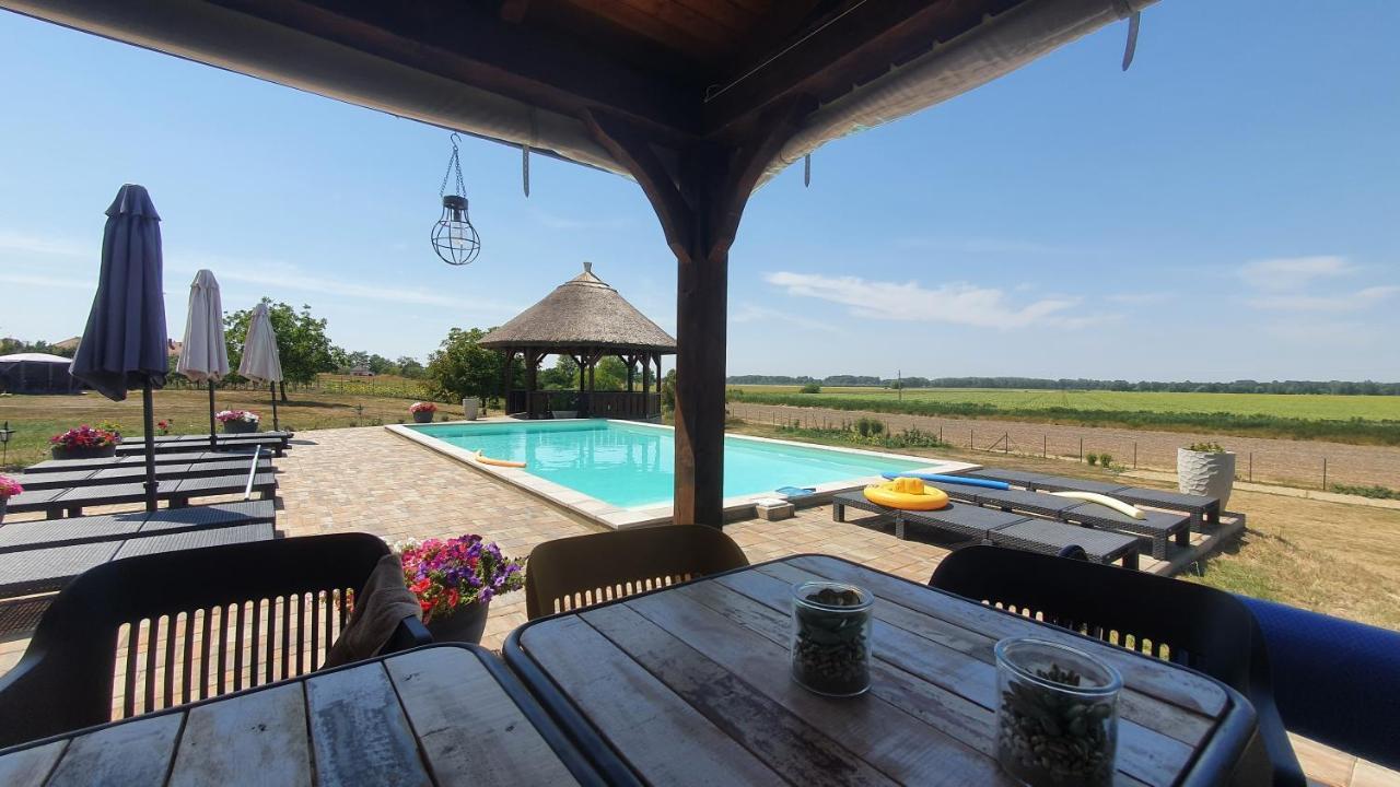 Tisza White House Bed & Breakfast Tiszaszolos Eksteriør bilde