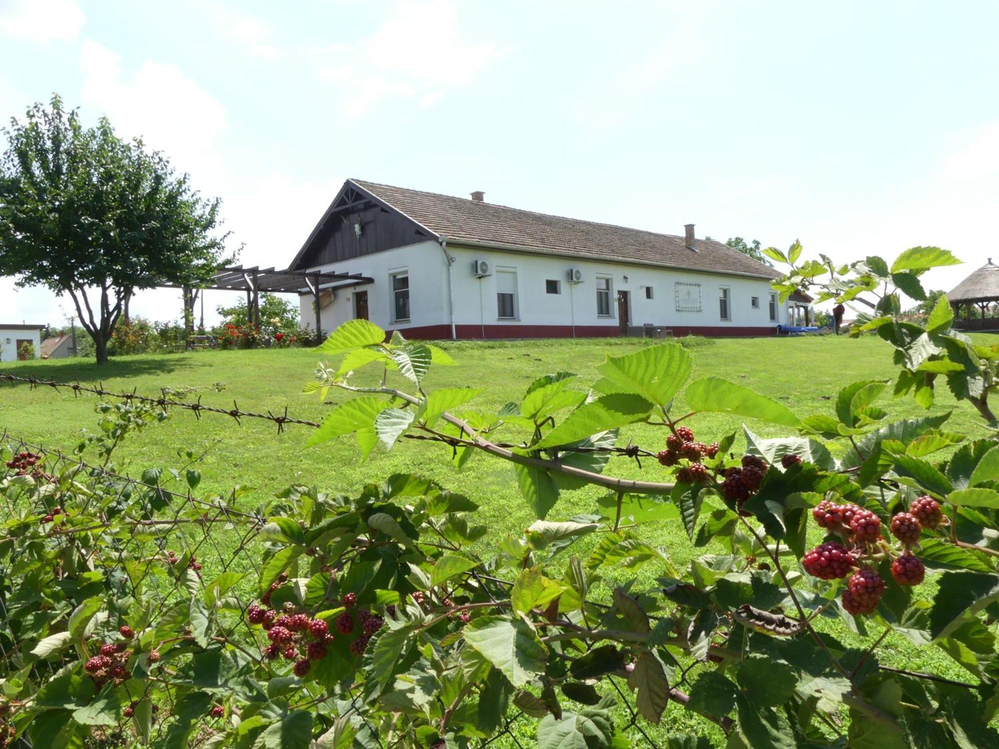 Tisza White House Bed & Breakfast Tiszaszolos Eksteriør bilde